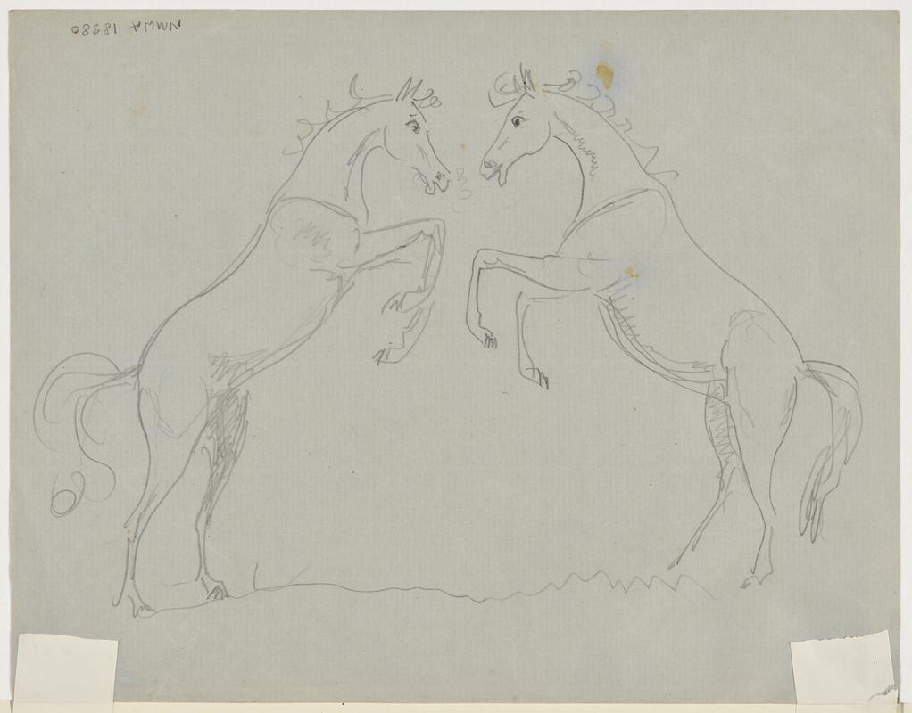 Horse kneeling
