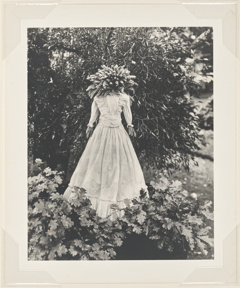 Harvest figure