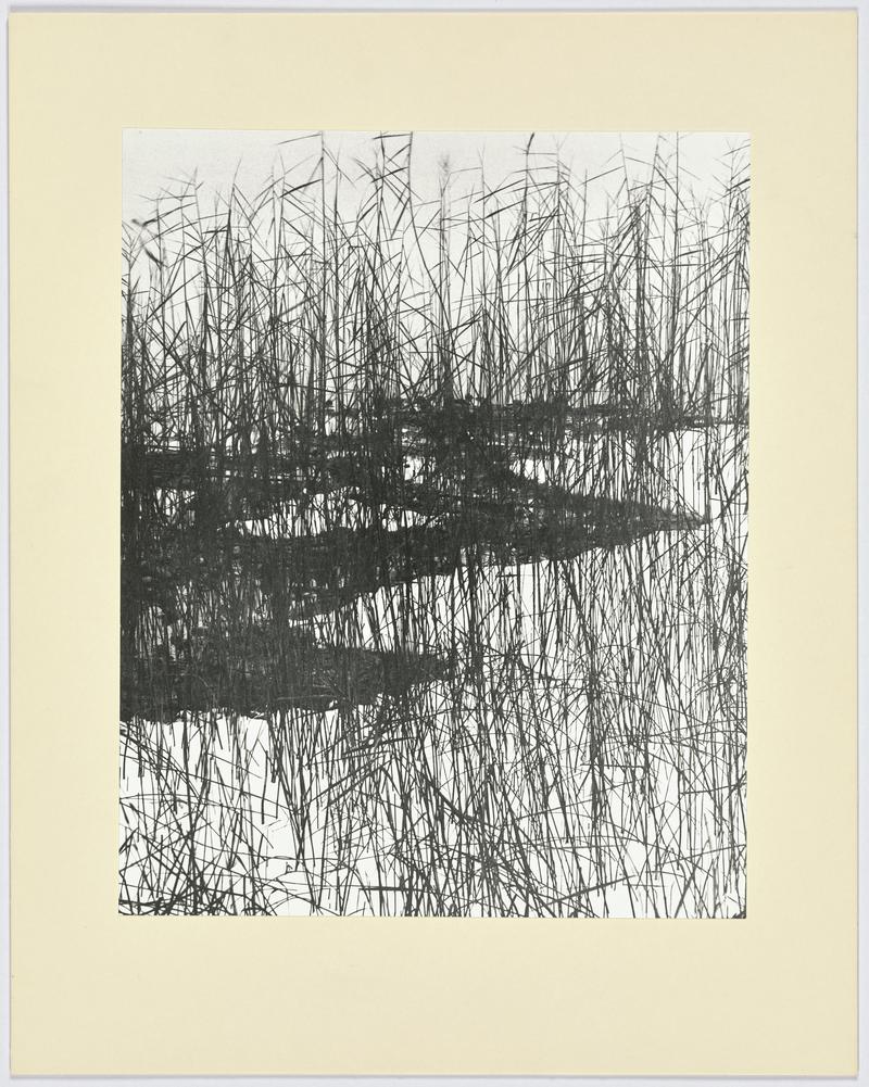 Reeds, January 1961