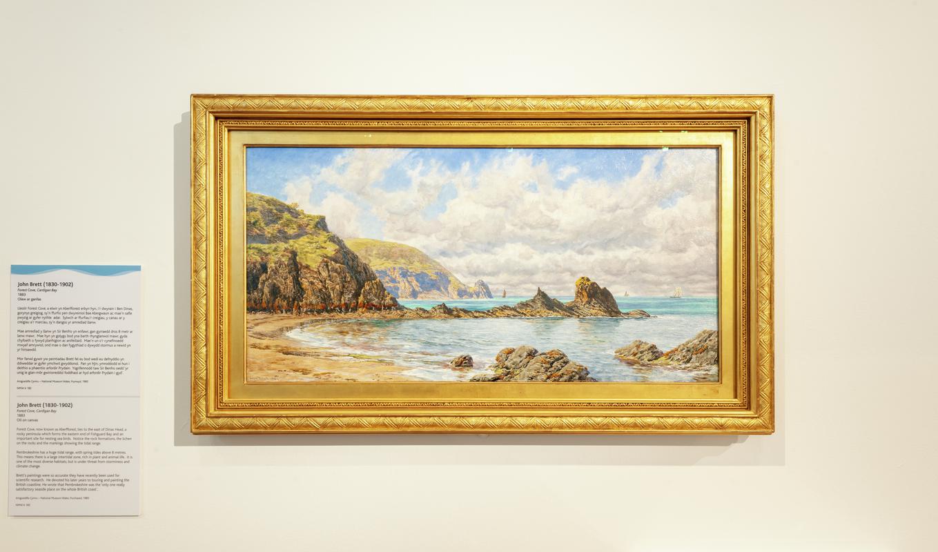 Forest Cove, Cardigan Bay
