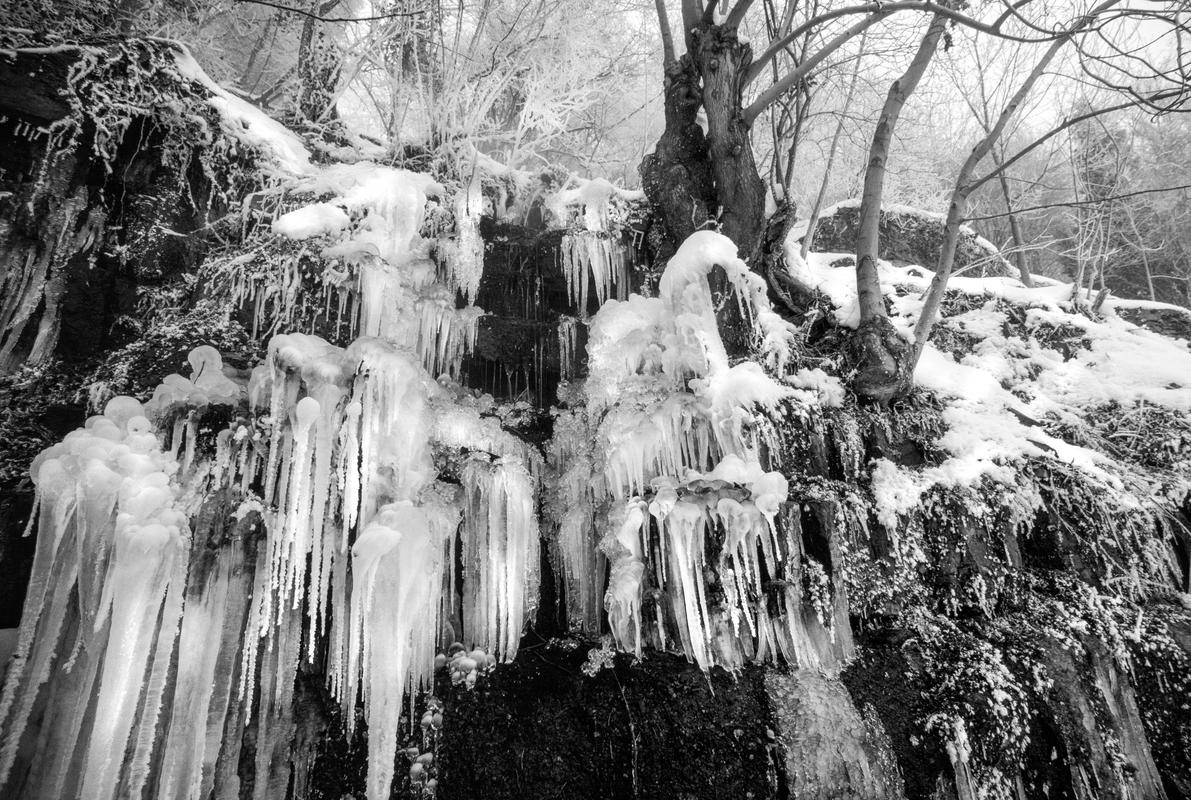 GB. WALES. Tintern. David Hurn&#039;s garden, Prospect Cottage in a very cold winter. 1979.