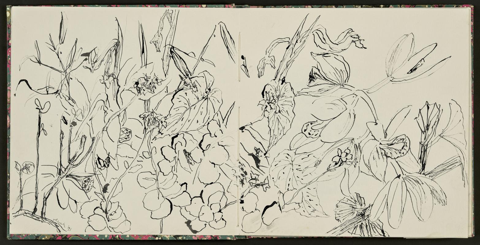 Sketchbook