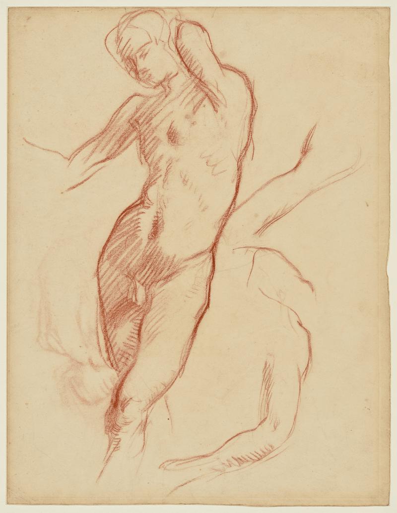 Male Nude