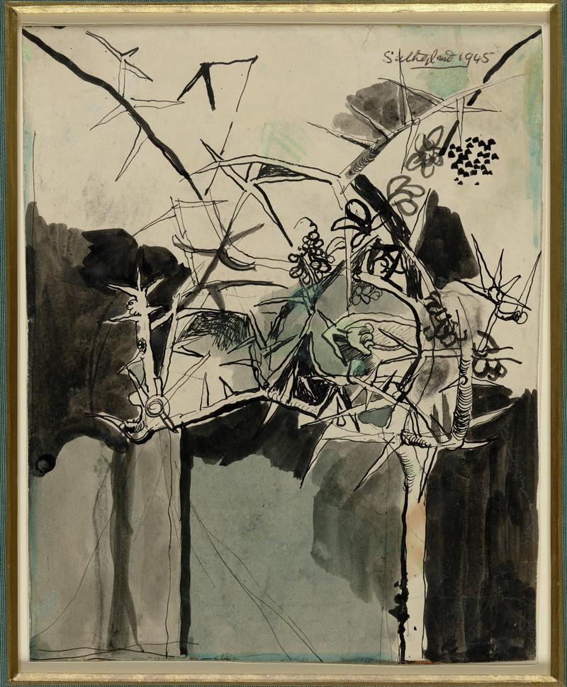 Study for Thorn Tree