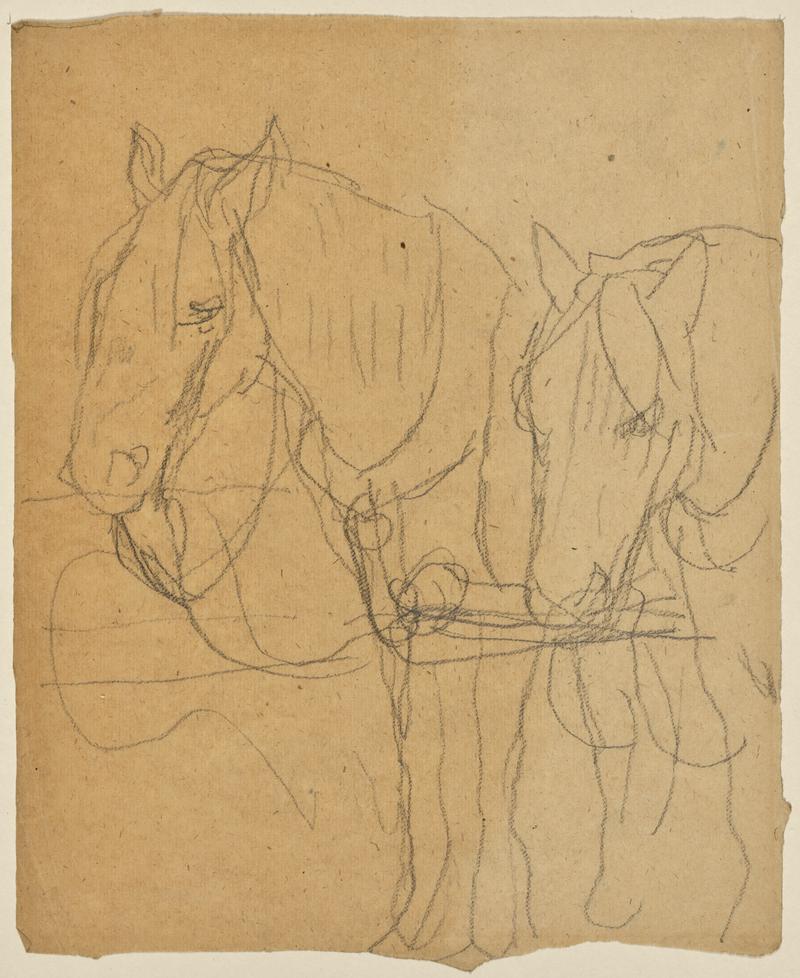 Horses in Harness