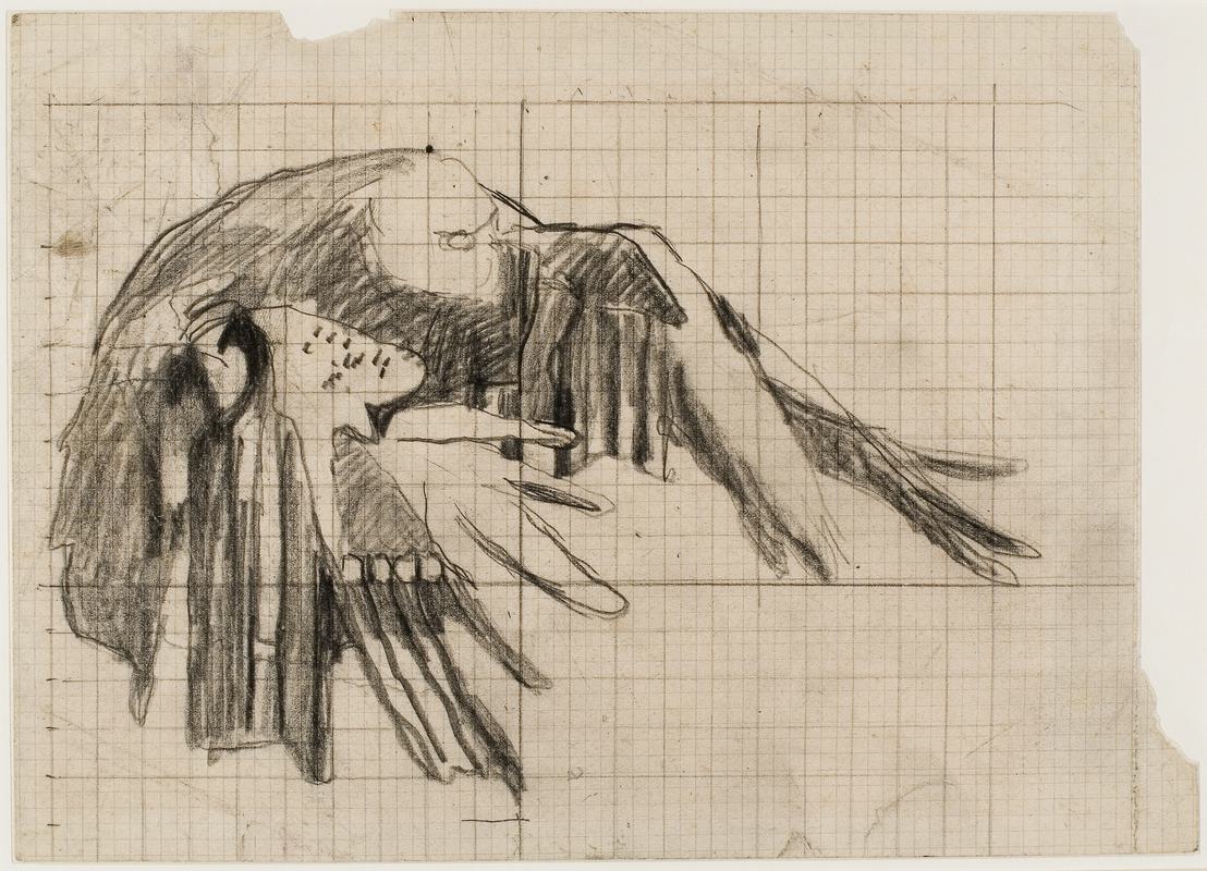 Study for wings