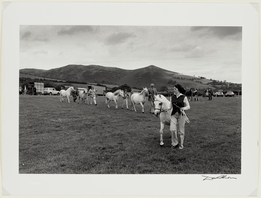 Llanafan Fawr Show