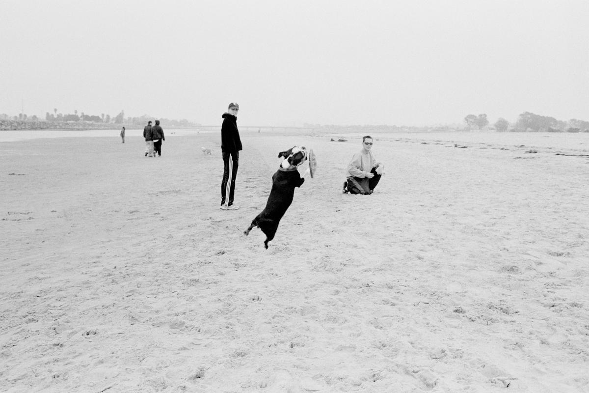 USA. CALIFORNIA. The Original Dog Beach in San Diego, CA is nationally famous and one of the first official leash-free beaches in the United States. It is a landmark in the community of Ocean Beach. 2002.