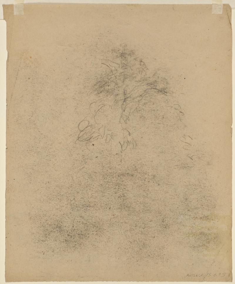 Trees