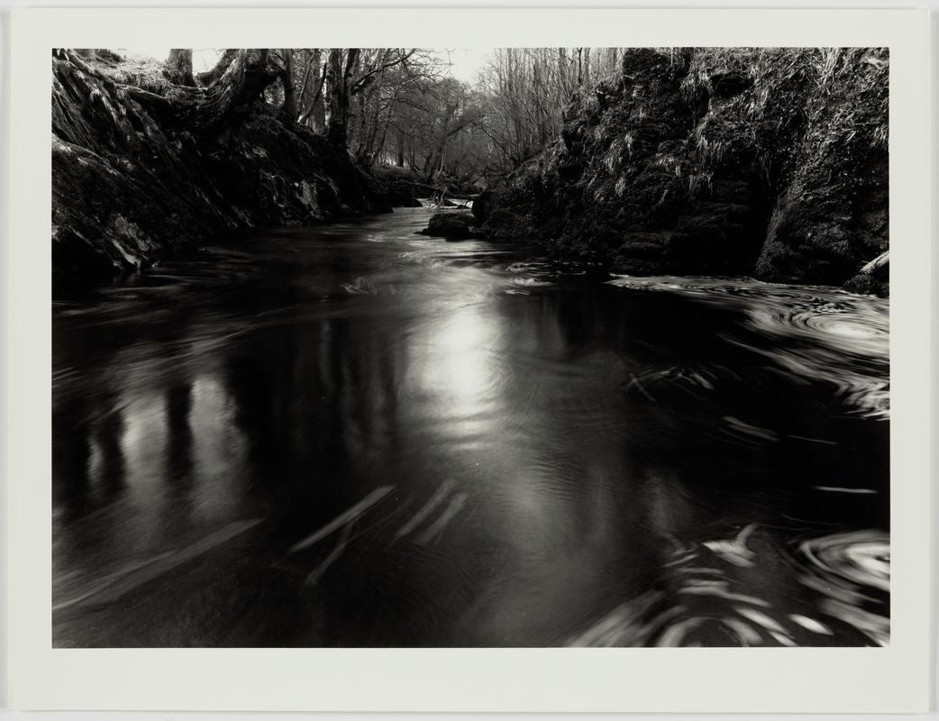 Reeds, and Memories, Carmarthen. March 1979