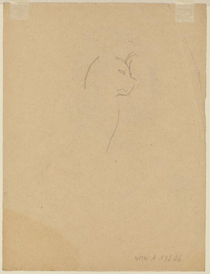Girl's head and shoulders