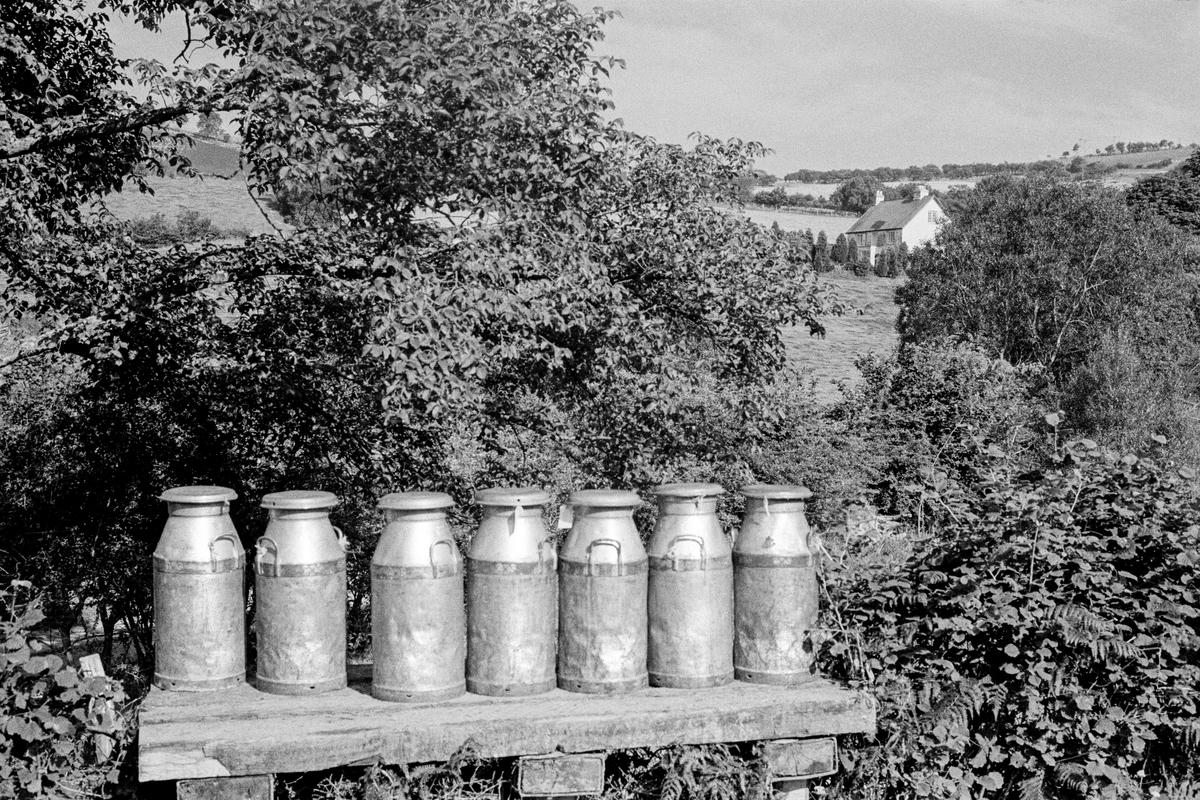 GB. WALES. Upper Chapel. Milk Churns waiting pick-up to go to the dairy. 1973.