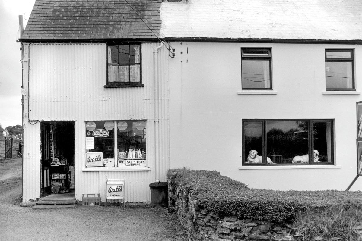 GB. WALES. Rosebush. &#039;BellVue&#039; store. 1994. (see 3190-03, five years earlier, the dogs are the parents of the previous dogs)