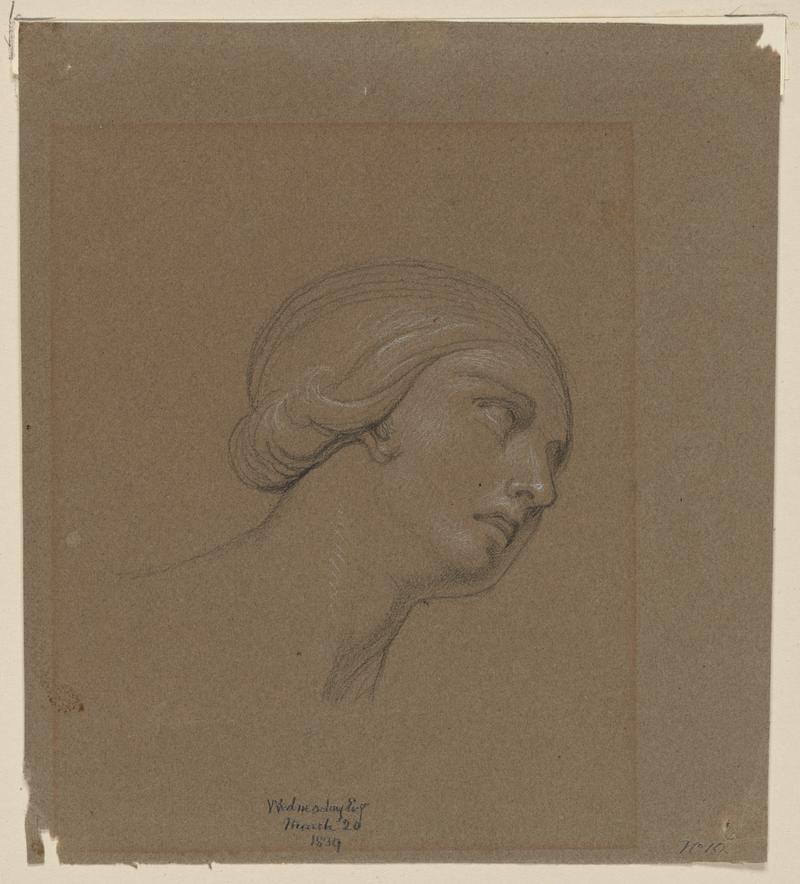 Woman&#039;s Head