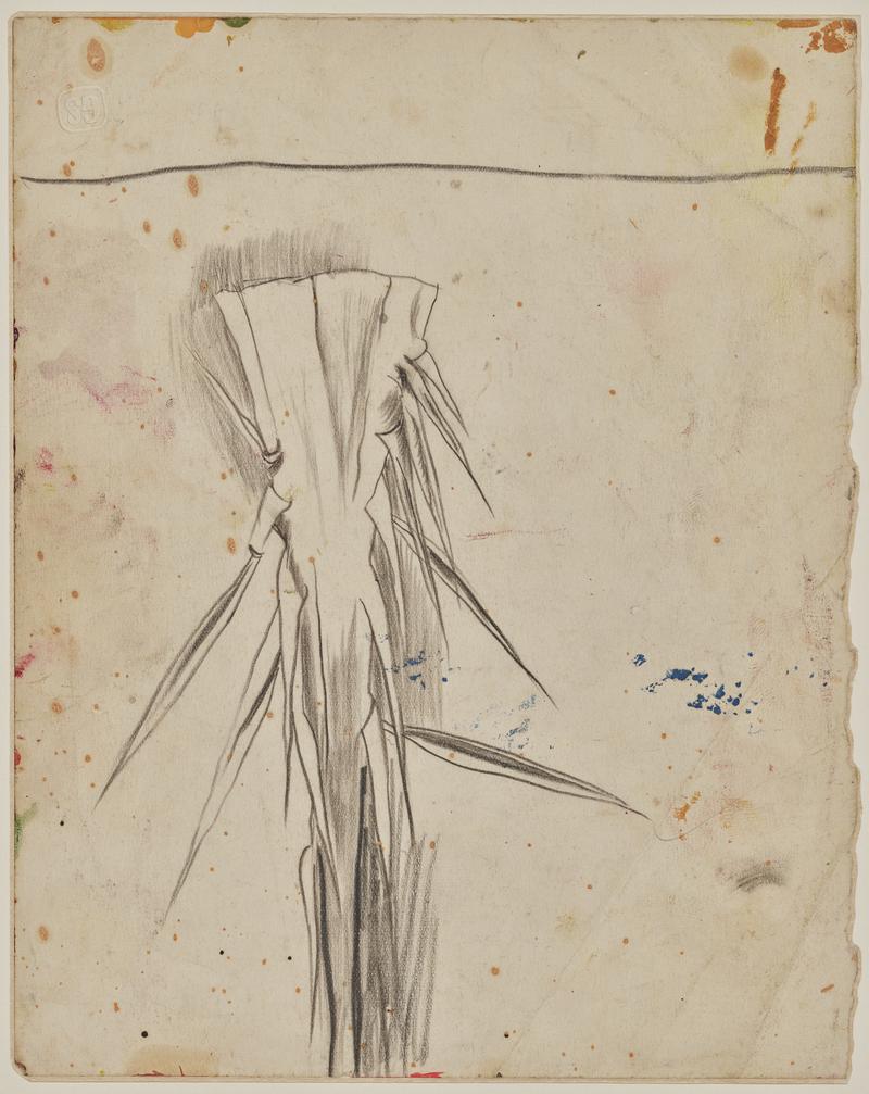 Study of palms