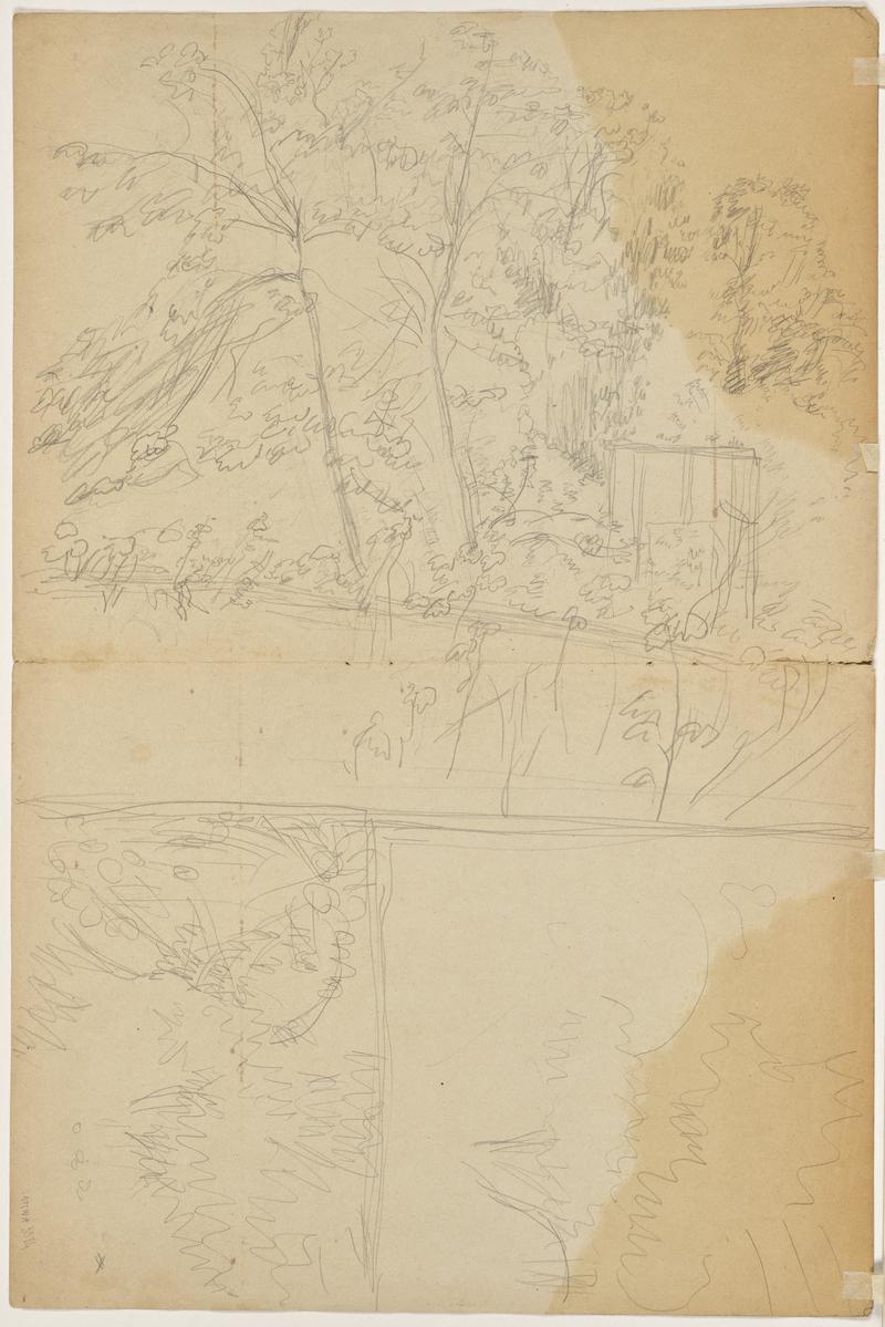 Studies of trees