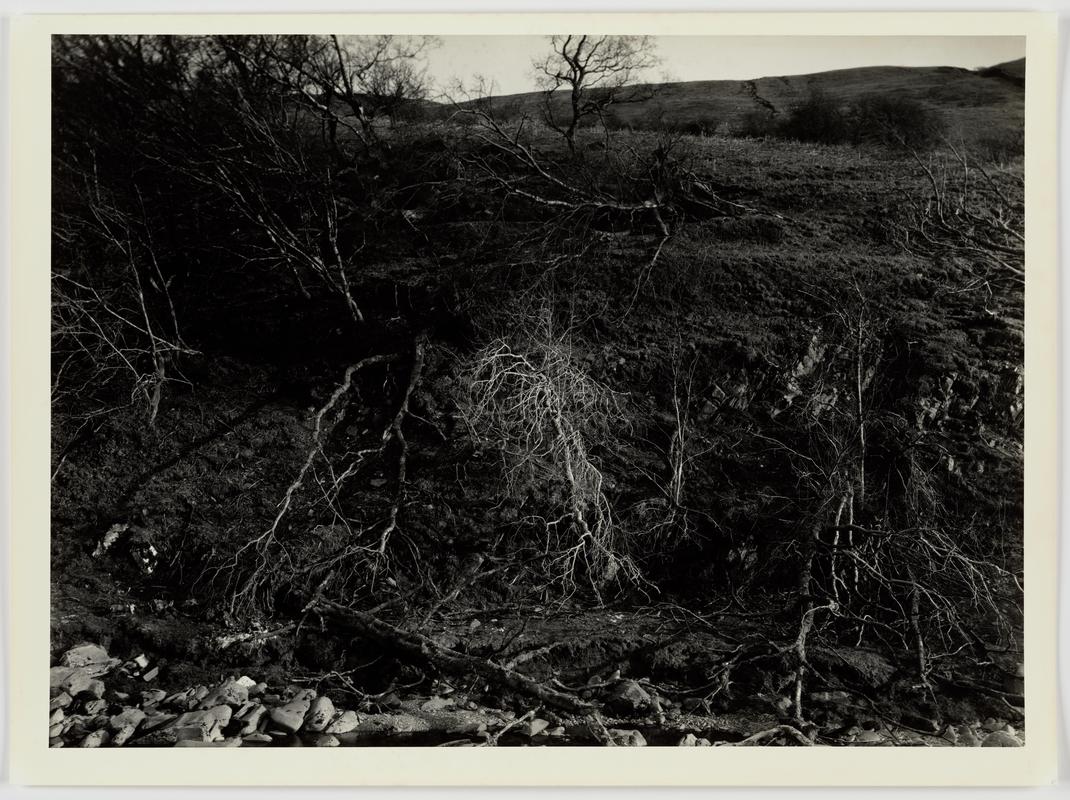 &quot;Natural Forces&quot; - on the Rhayader High Road April 1979