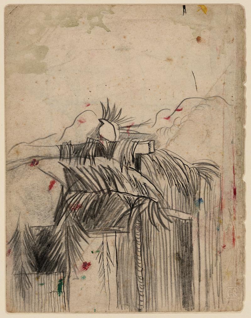 Palm palisade study