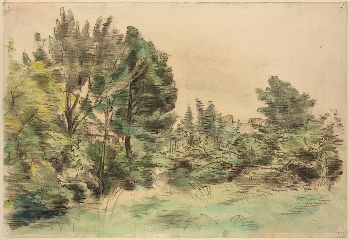 Landscape