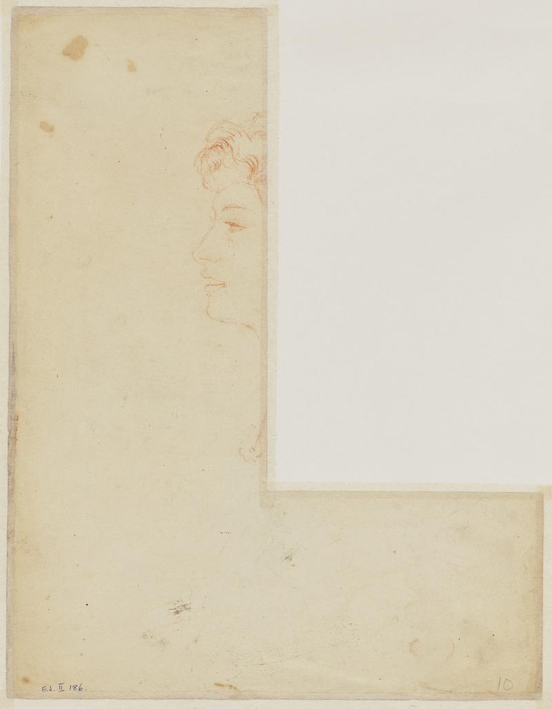 Head of Dorelia McNeil (1881-1969)