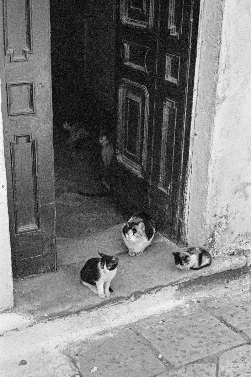 GREECE. Corfu. Paleokastritsa. Street scene. 1964.