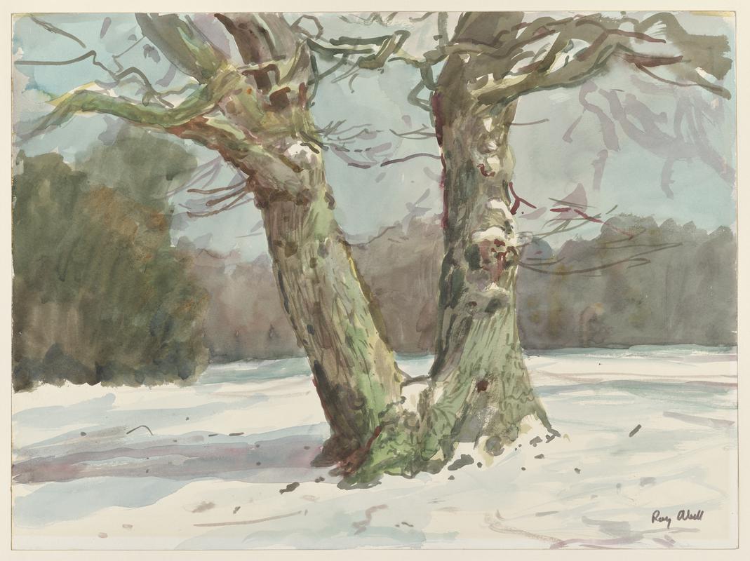 Trees in Snow