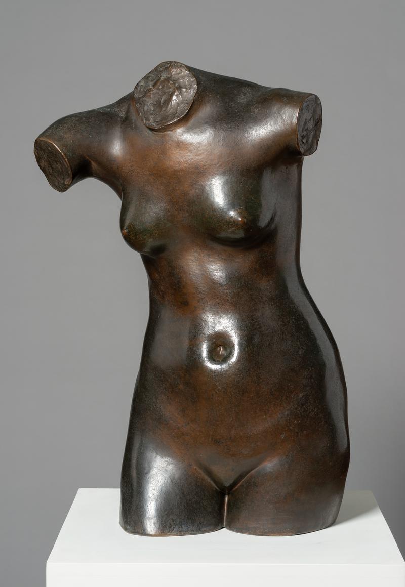 Female Torso