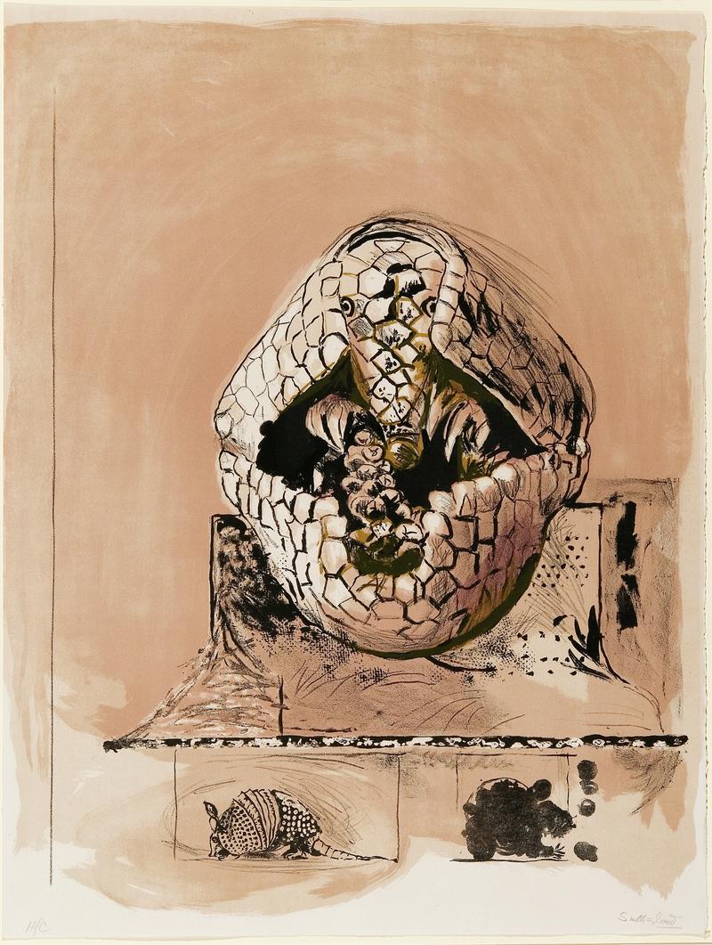 Armadillo