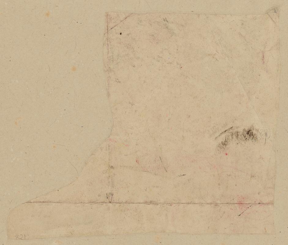 Study of a lion