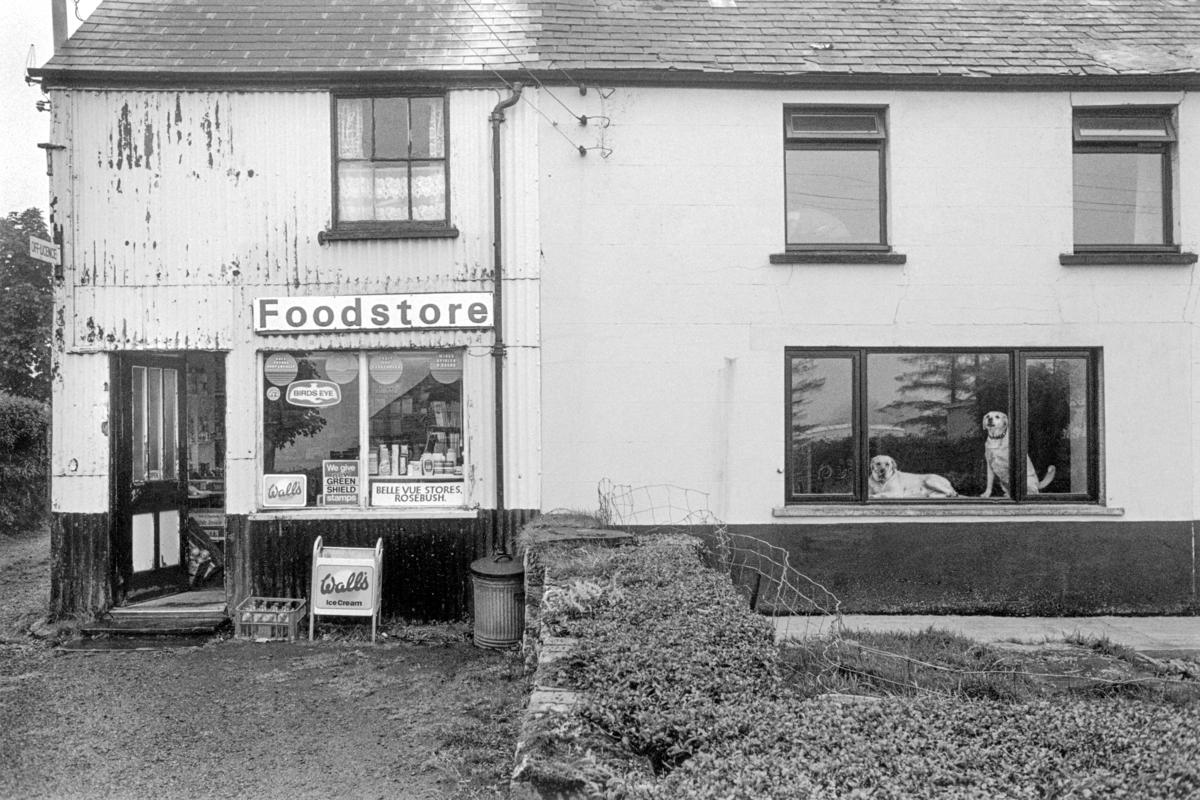 GB. WALES. Rosebush. &#039;BellVue&#039; store. (see3714-05, five years later, the dogs are the puppies of the previous dogs) 1989.