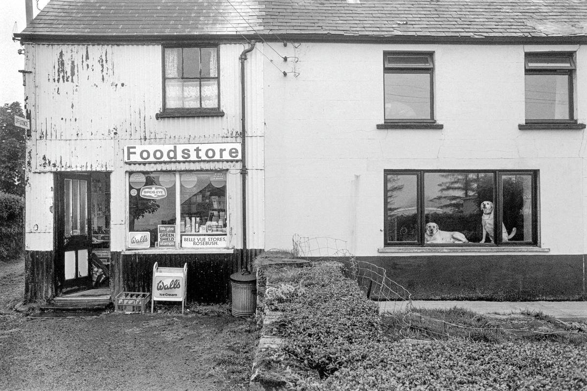 GB. WALES. Rosebush. &#039;BellVue&#039; store. (see3714-05, five years later, the dogs are the puppies of the previous dogs) 1989.
