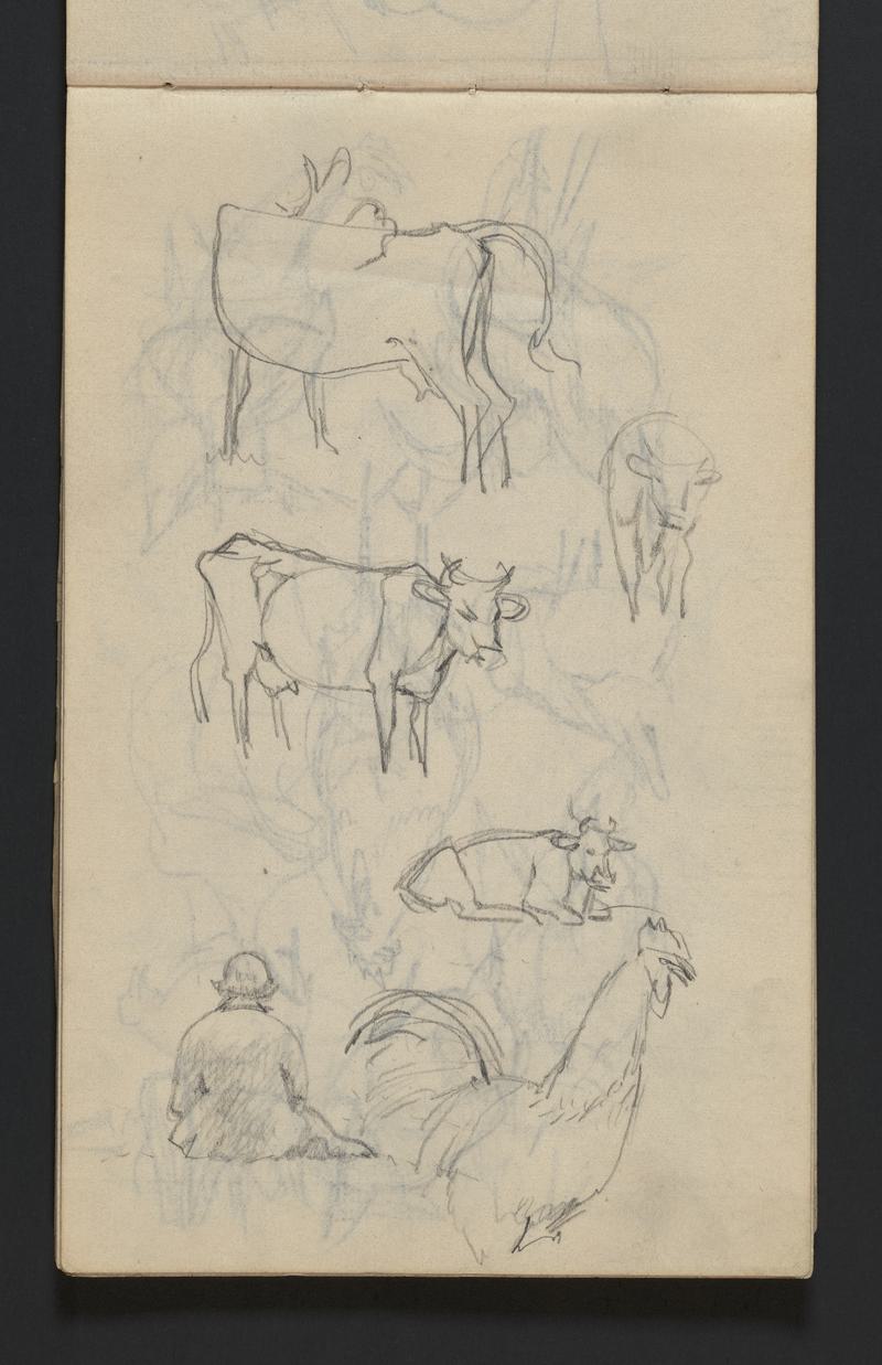 Sketchbook
