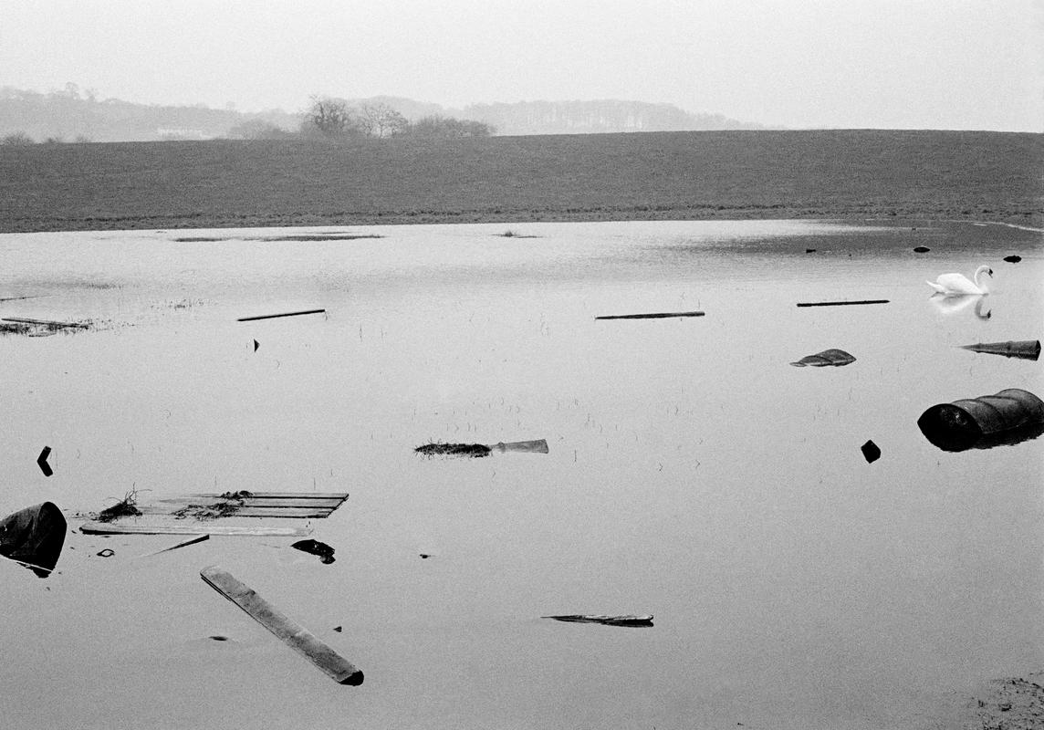 GB. WALES. Cardiff. General. Flooding on a council estate and the build up of garbage, pollution, seemingly slowly pushing out the beautiful Swan.  Cardiff. 1973.