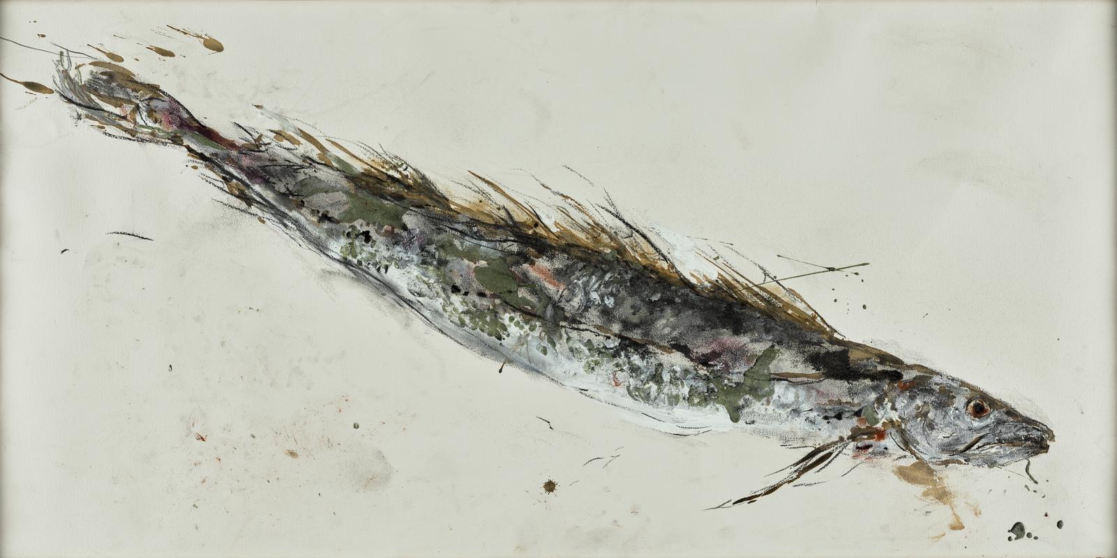 A Hake