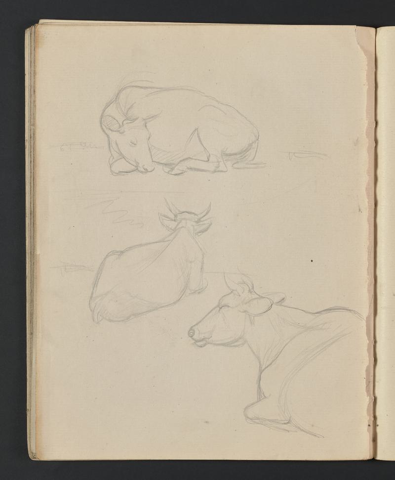 Sketchbook