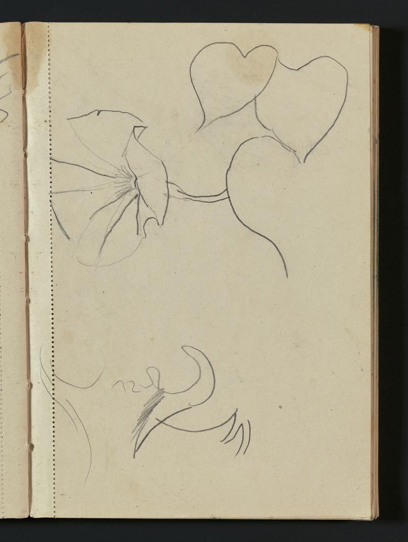 Sketchbook