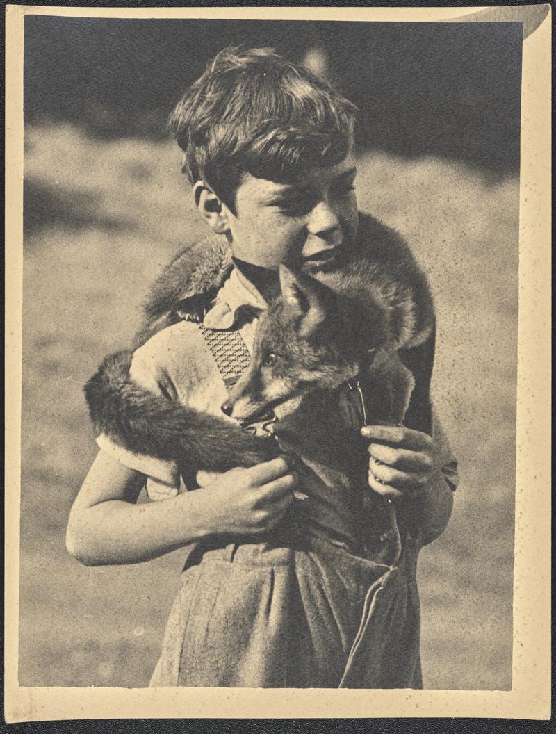 Boy with Fox Cub