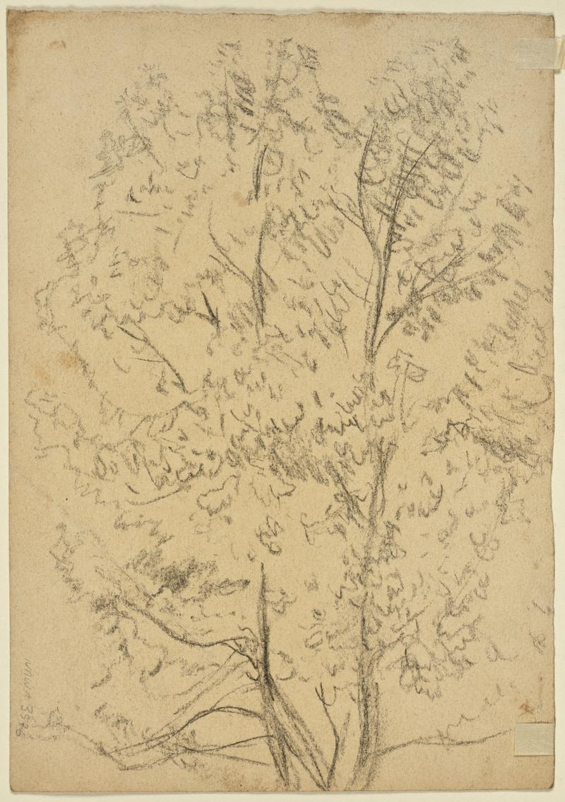 Man and woman seated on the ground