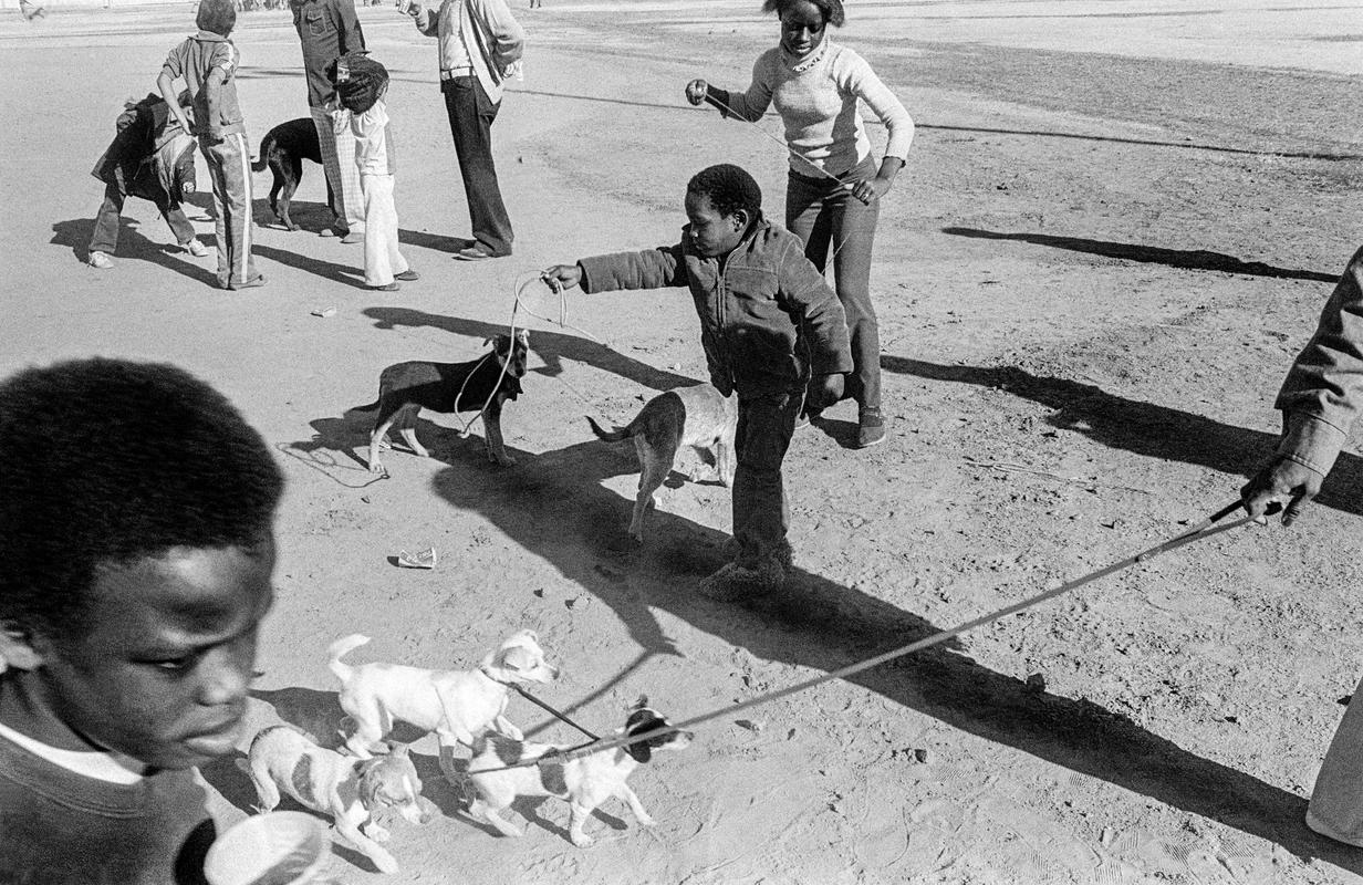 USA. ARIZONA. Phoenix. Annual Mutt show. 1979.