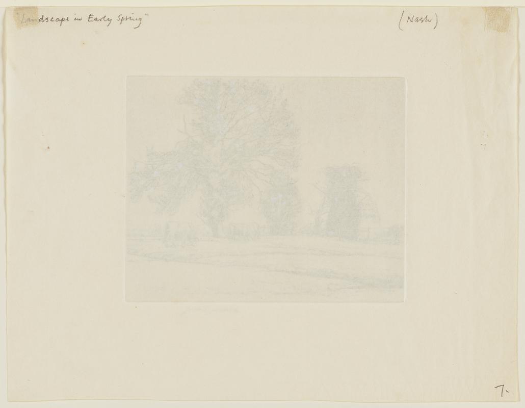 Landscape in early spring
