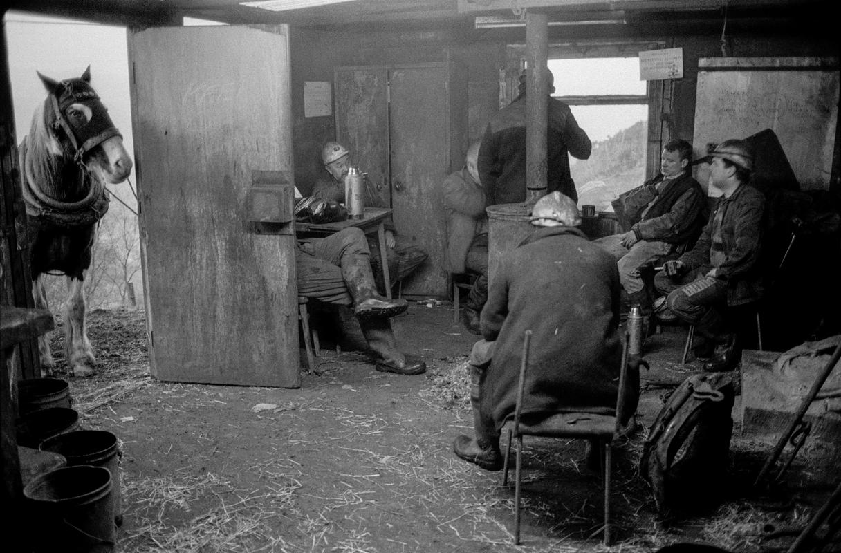 GB. WALES. Neath Valley, Black Mountain Coal. Pit ponies each have an individual handler who is responsible for its health, welfare and cleanliness.  Ponies are not underground for long periods.  Simply the time it takes to get to the coal face and bring coal out to the surface.  A distance of about a mile. Between shifts the miners gather in their own rest-room. 1993