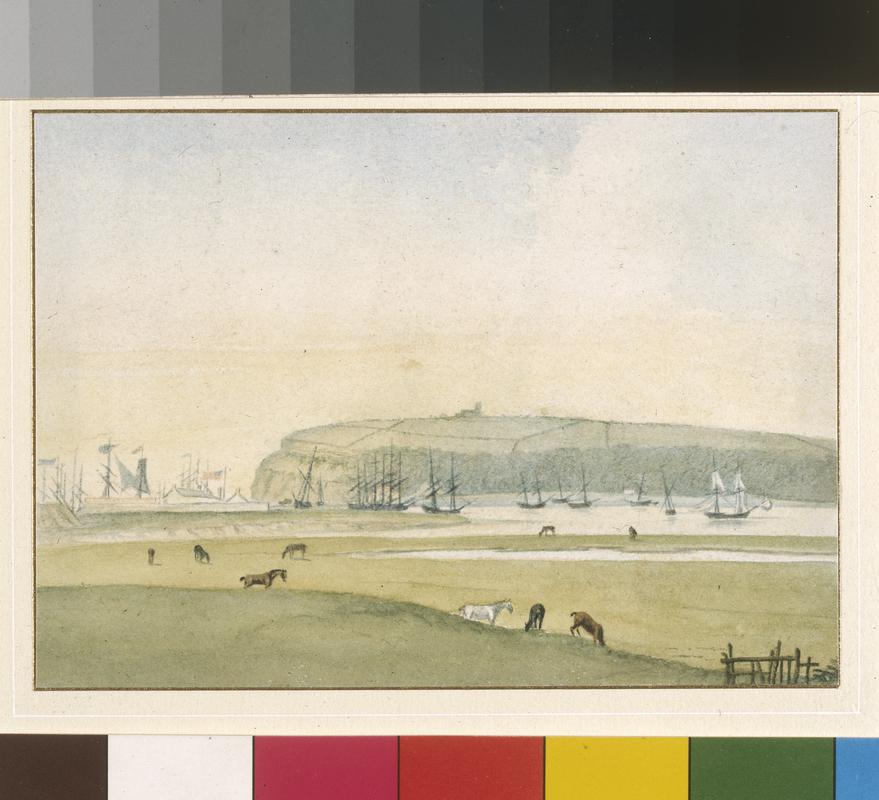 Penarth head