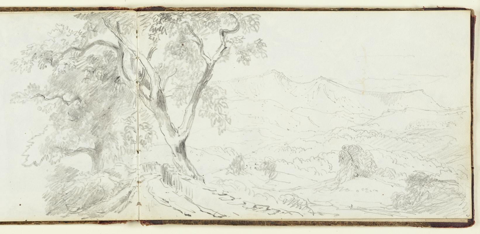 Untitled: Sketchbook