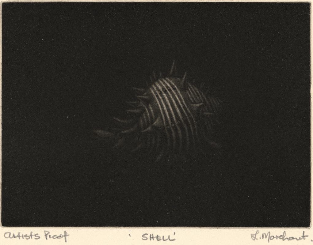 Shell