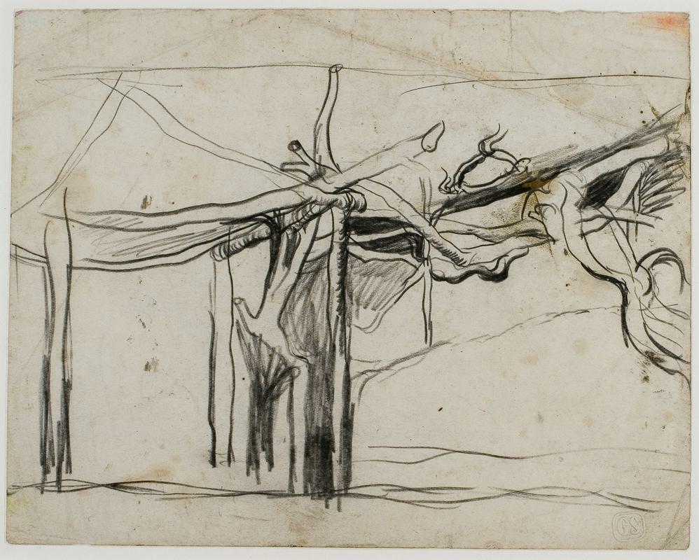 Vine Pergola Sketch