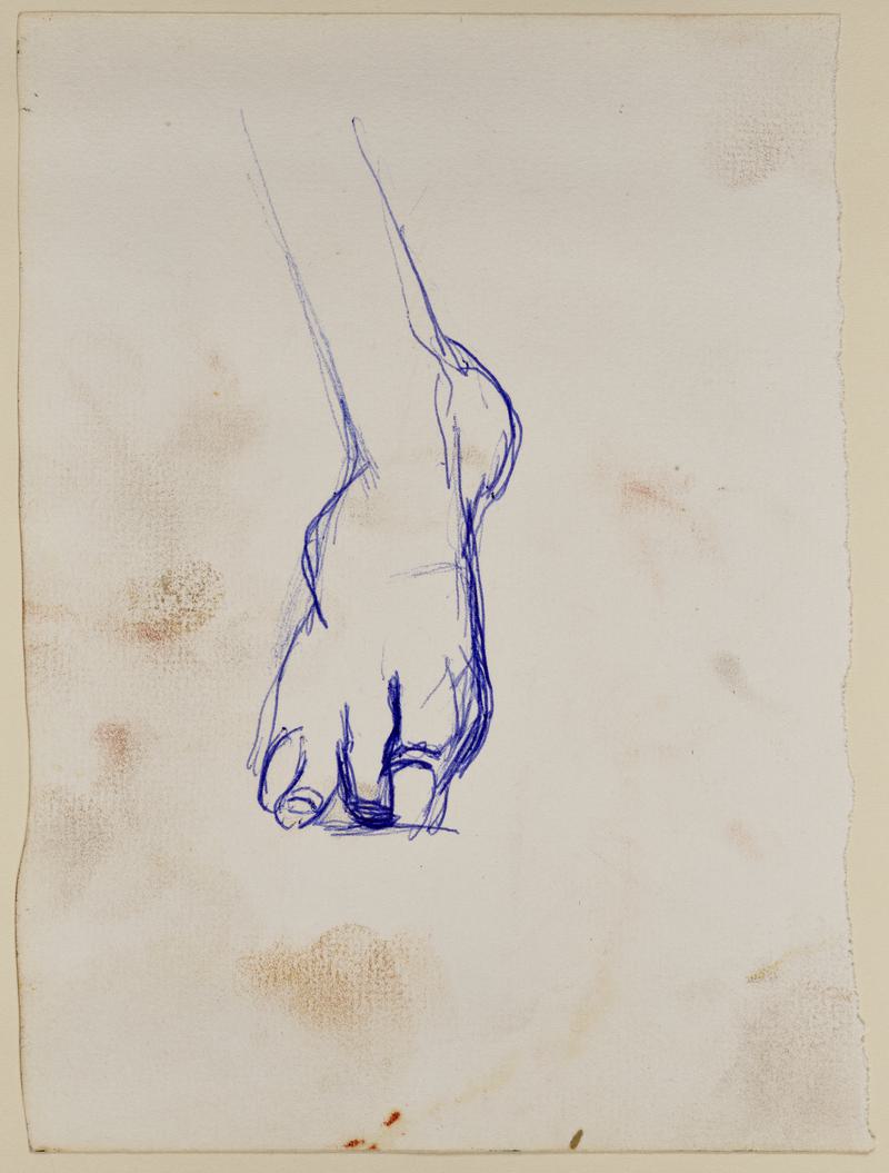 Sketch of Foot