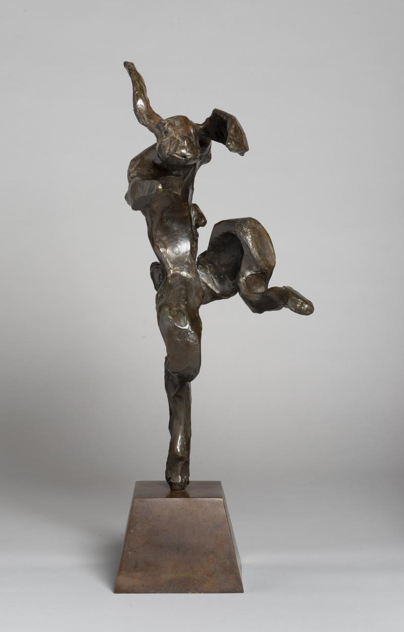 Small Nijinsky hare