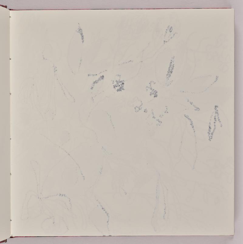 Sketchbook