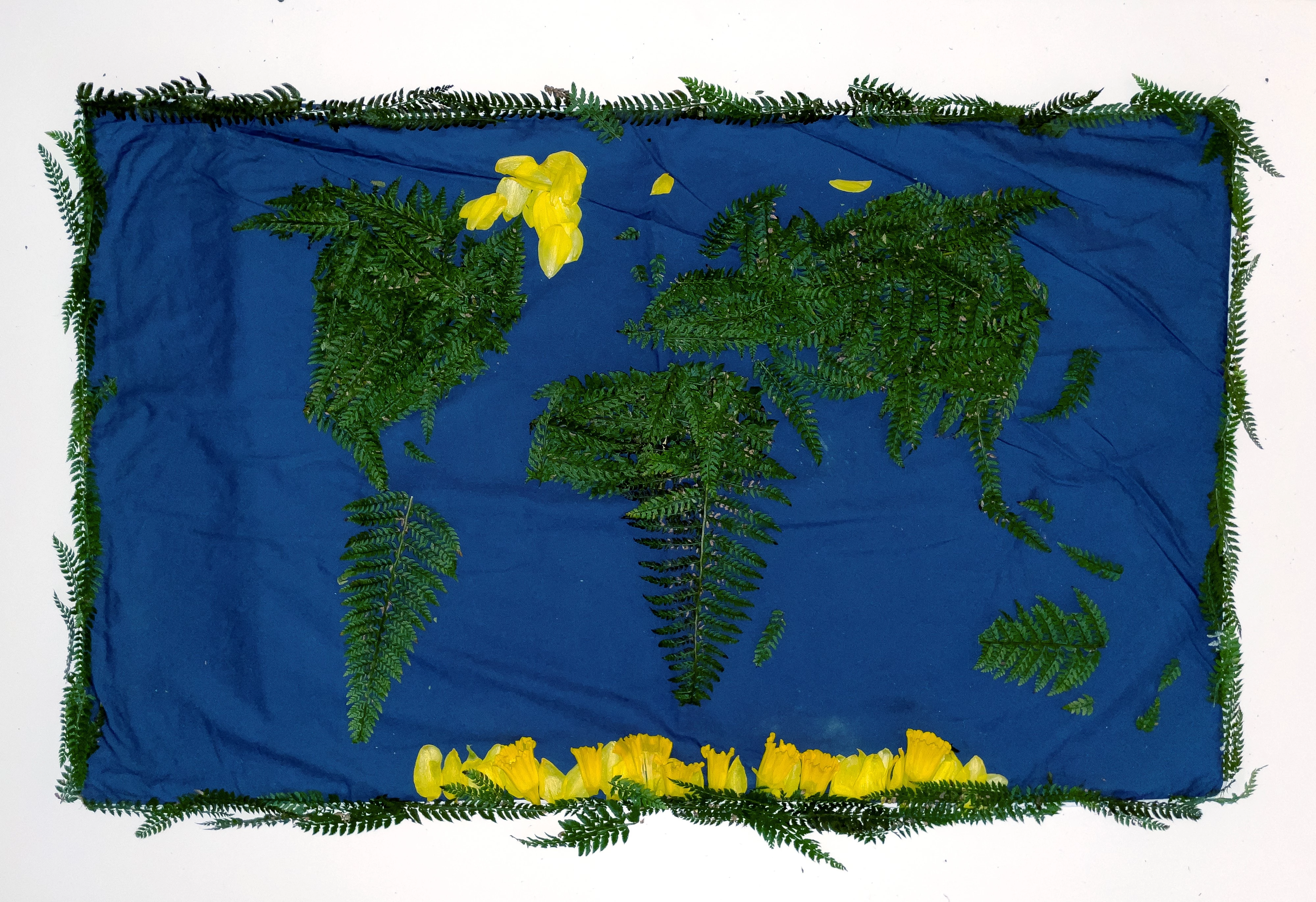 A rectangular piece of blue fabric decorated with fern leaves and daffodil petals arranged in the form of a map of the world.