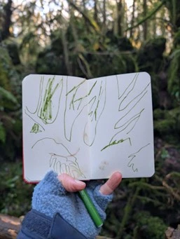 Open Sketchbook depicting branches